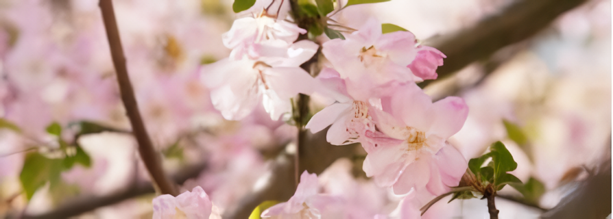 william威廉亚洲(中国)有限公司